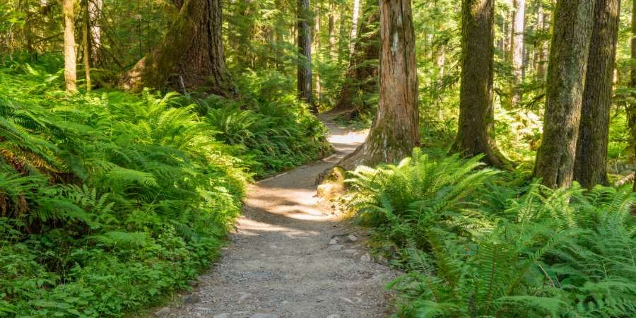 The Best Hiking Trails Near Clark County, WA